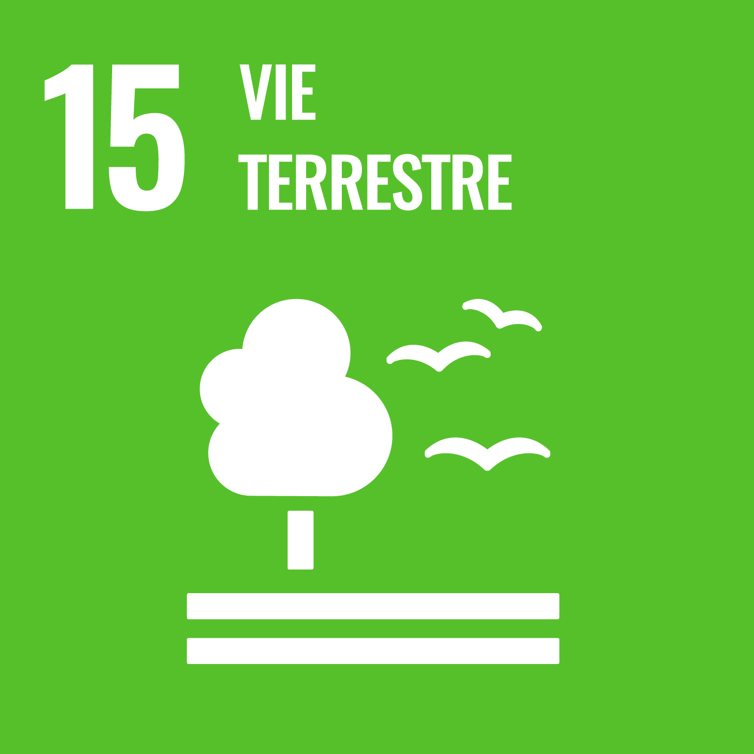 ODD 15 — Vie terrestre