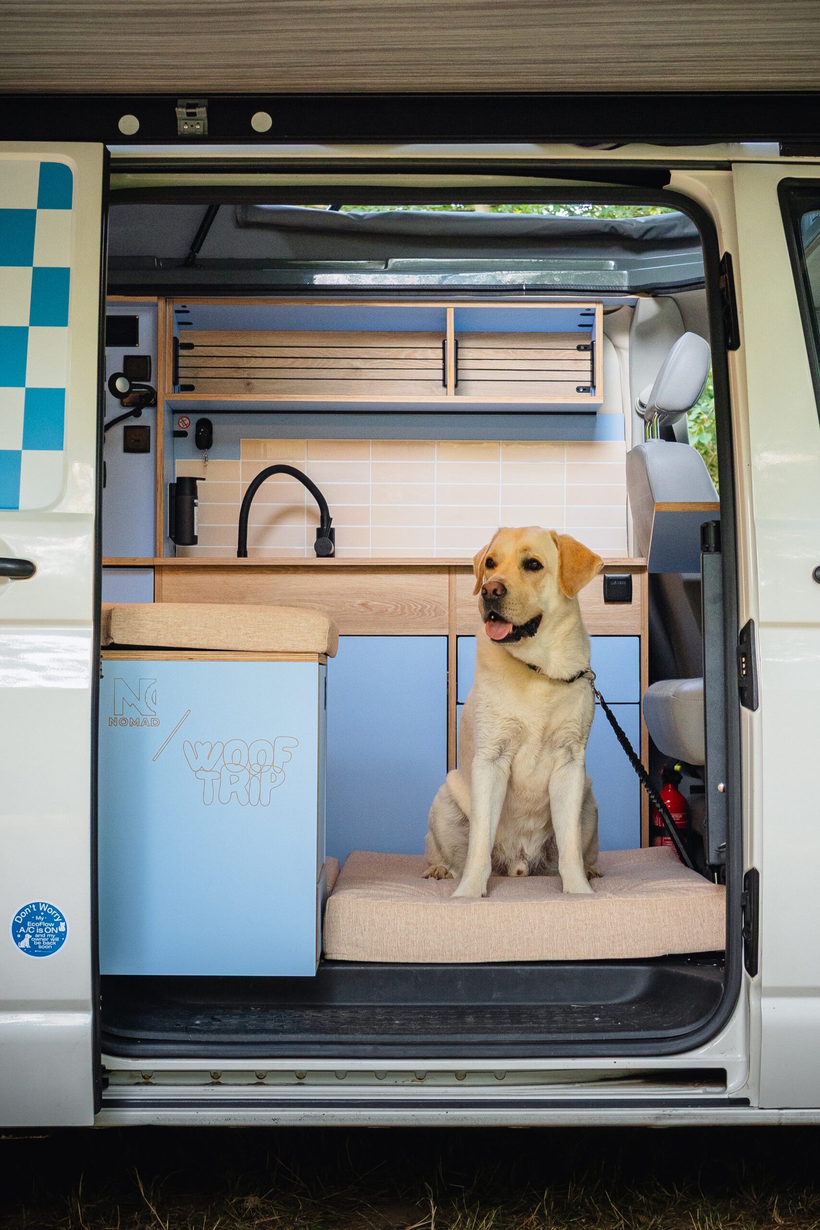 Baloo, attaché sur son panier sur-mesure